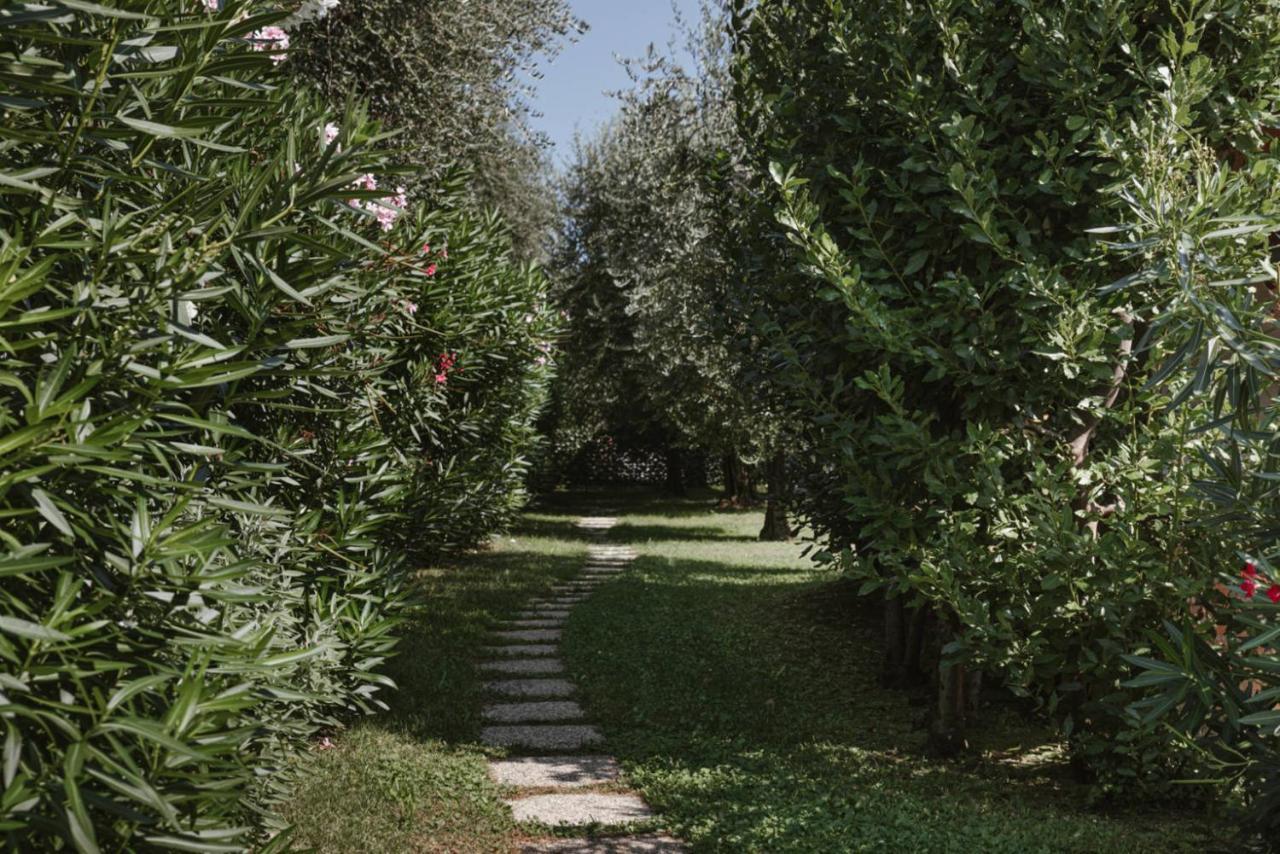 App. Mimosa Minerva Holiday Home Manerba del Garda Exteriör bild